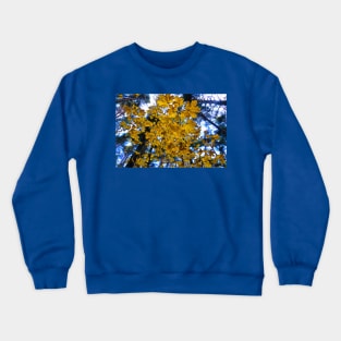 Yellow leaves Crewneck Sweatshirt